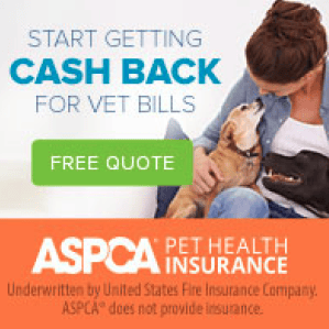Start Getting Cash Back for Vet Bills Free Quote